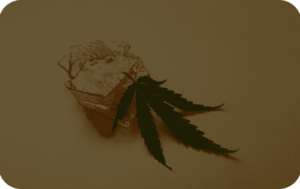 Understanding the Health Benefits of Longbottom Leaf Cannabis